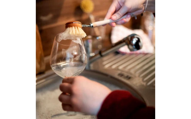 Chinchilla Wechselköpfe 3 Stück Aus Holz Inklusive Spülbürste 2 Chinchilla Wechselköpfe 3 Stück Aus Holz Inklusive Spülbürste – Bild 2